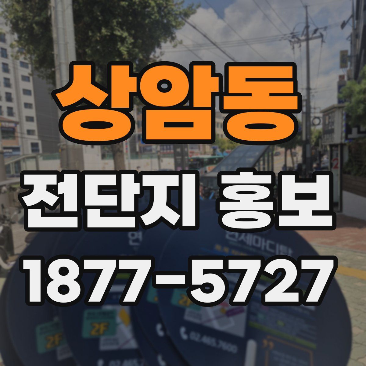 상암동 전단지 홍보