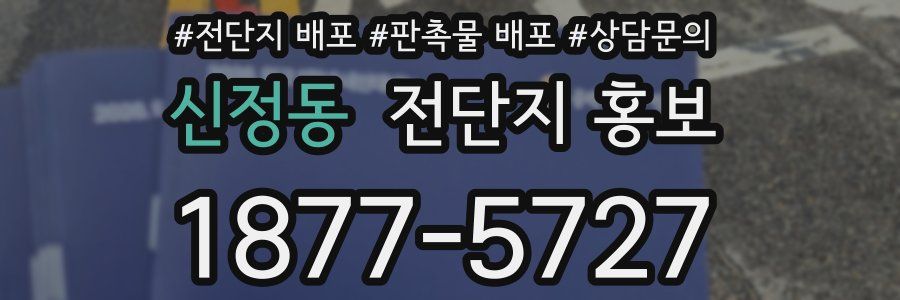 신정동 전단지 홍보