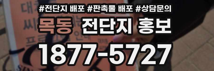 목동 전단지 홍보