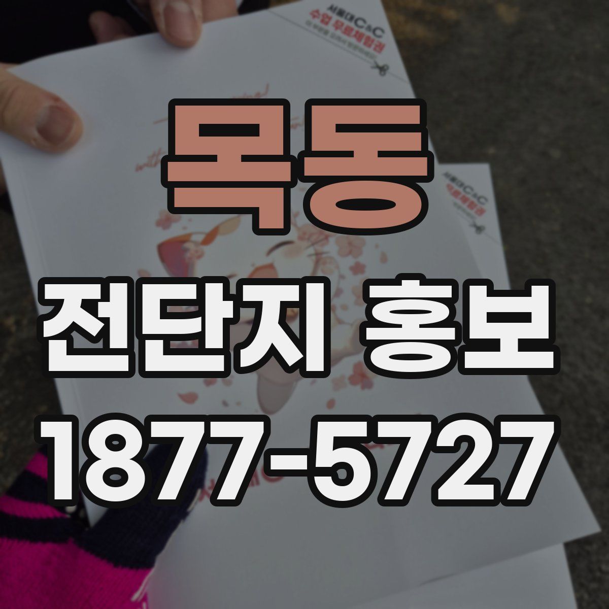 목동 전단지 홍보