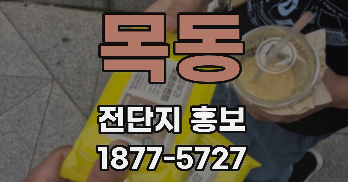 목동 전단지 홍보