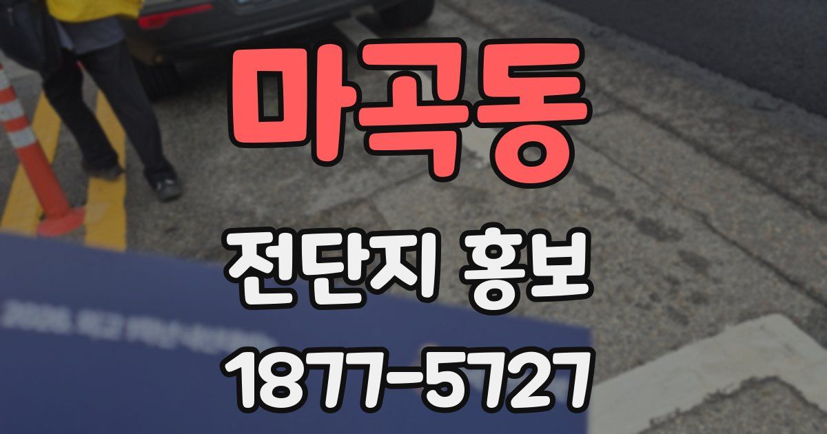 마곡동 전단지 홍보