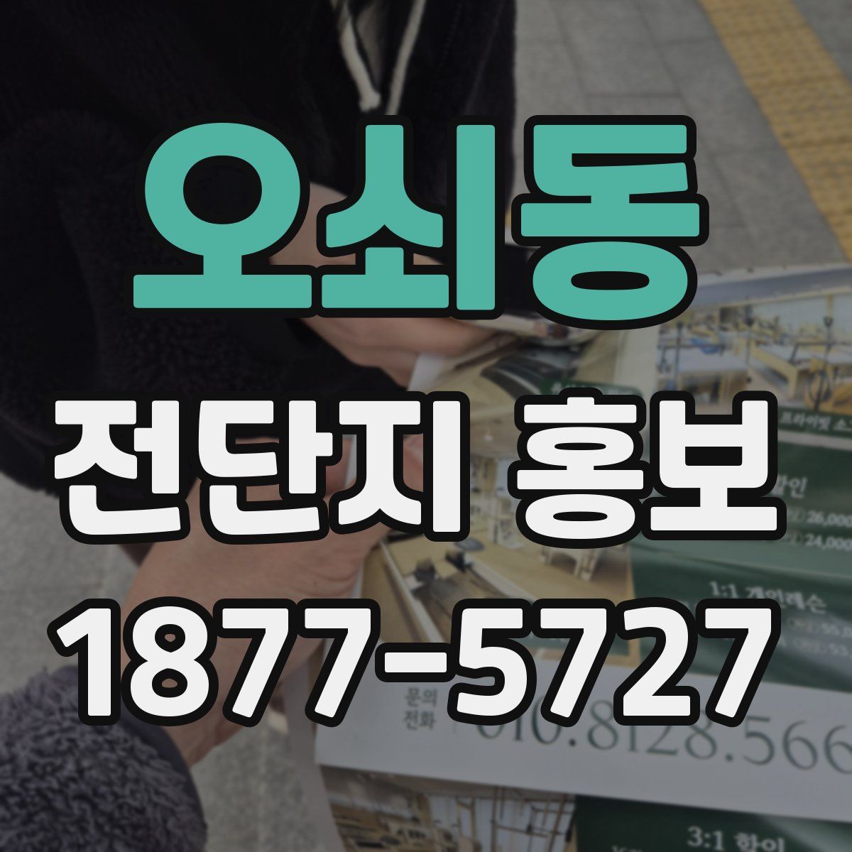오쇠동 전단지 홍보