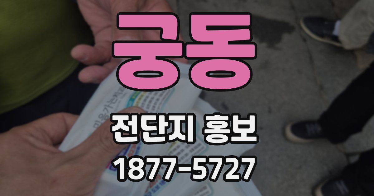 궁동 전단지 홍보