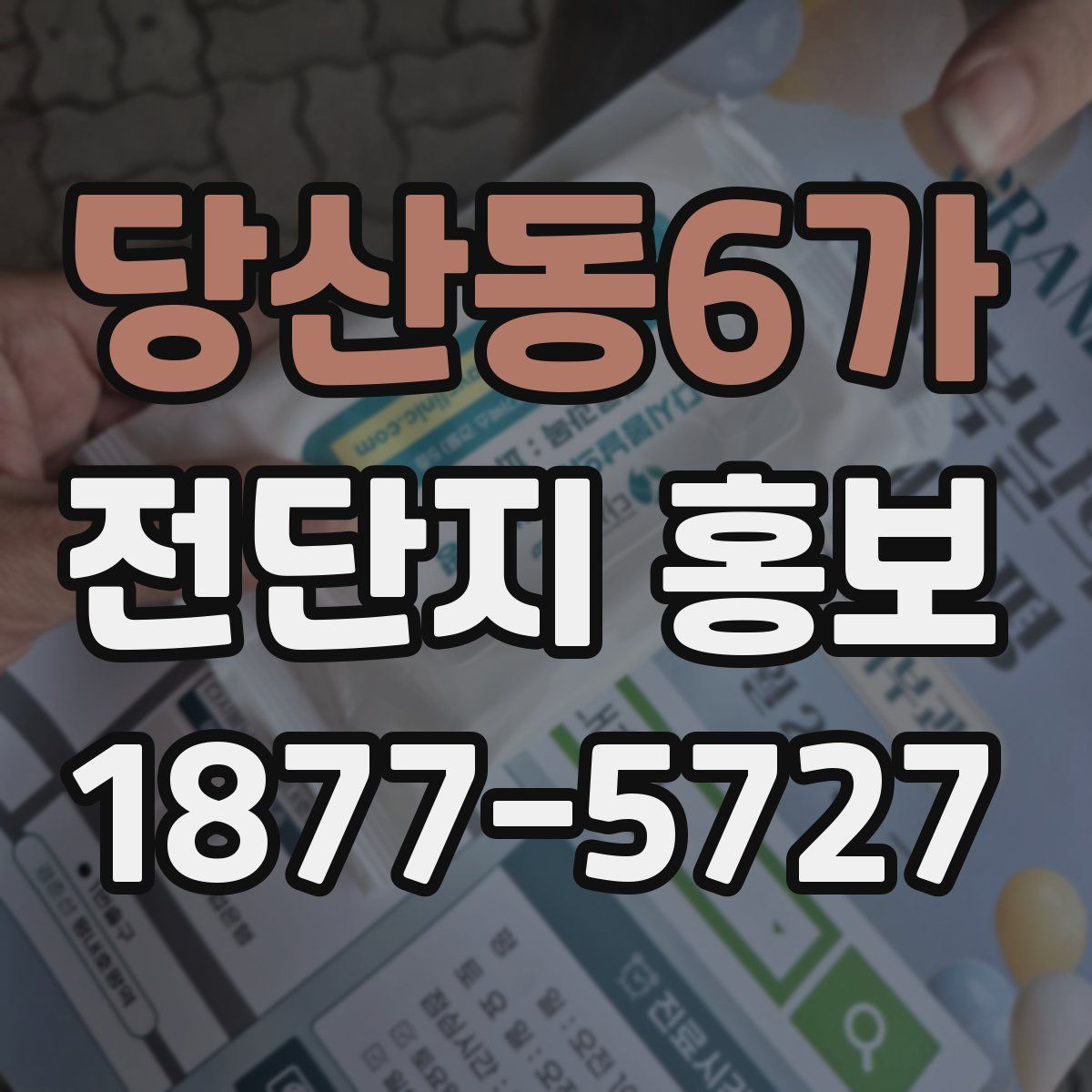 당산동6가 전단지 홍보