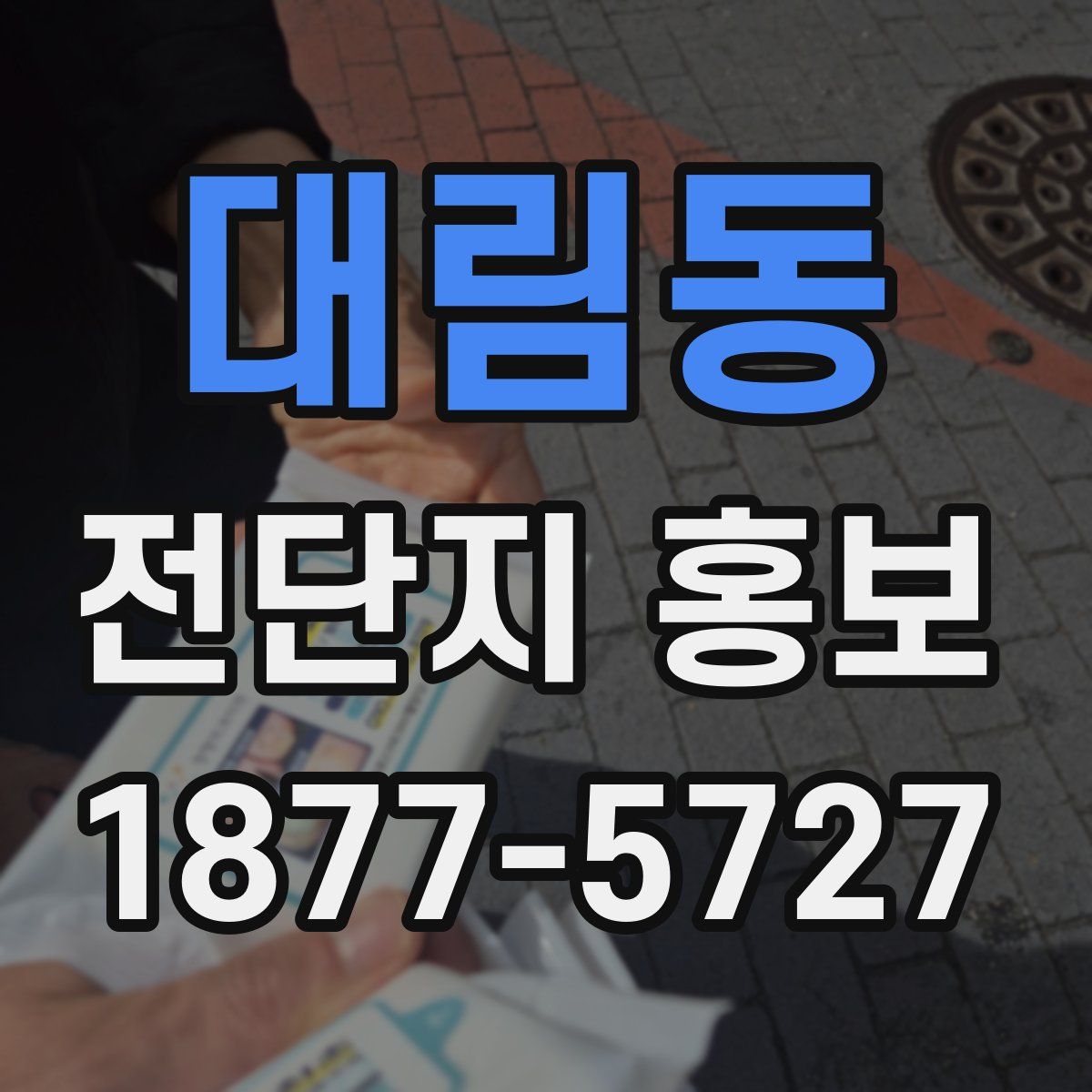 대림동 전단지 홍보