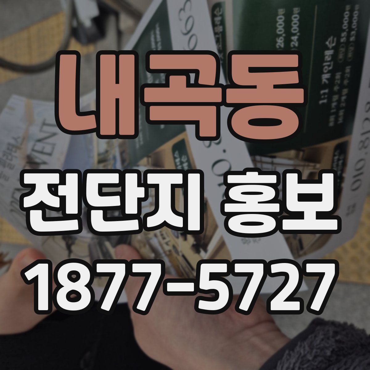 내곡동 전단지 홍보