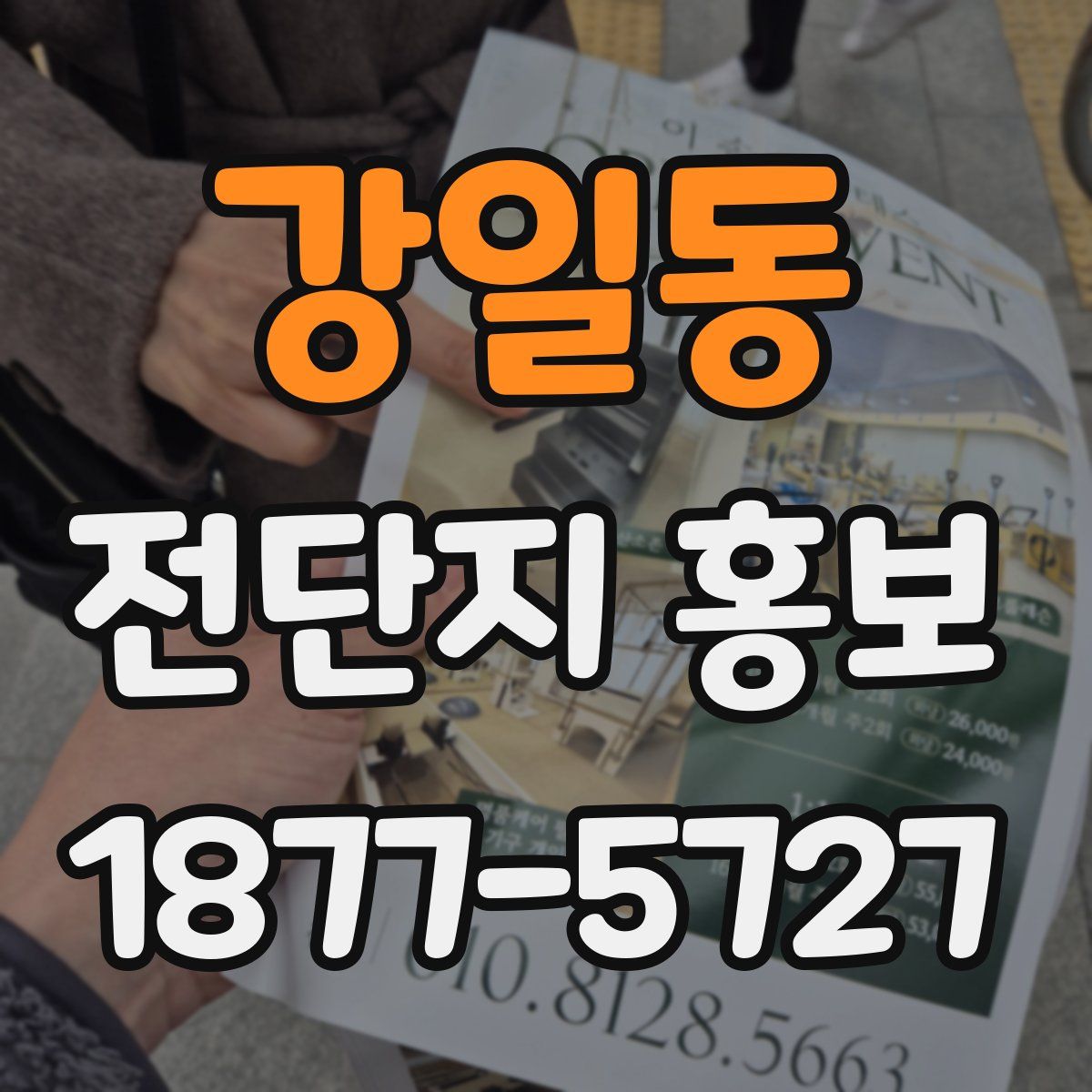 강일동 전단지 홍보
