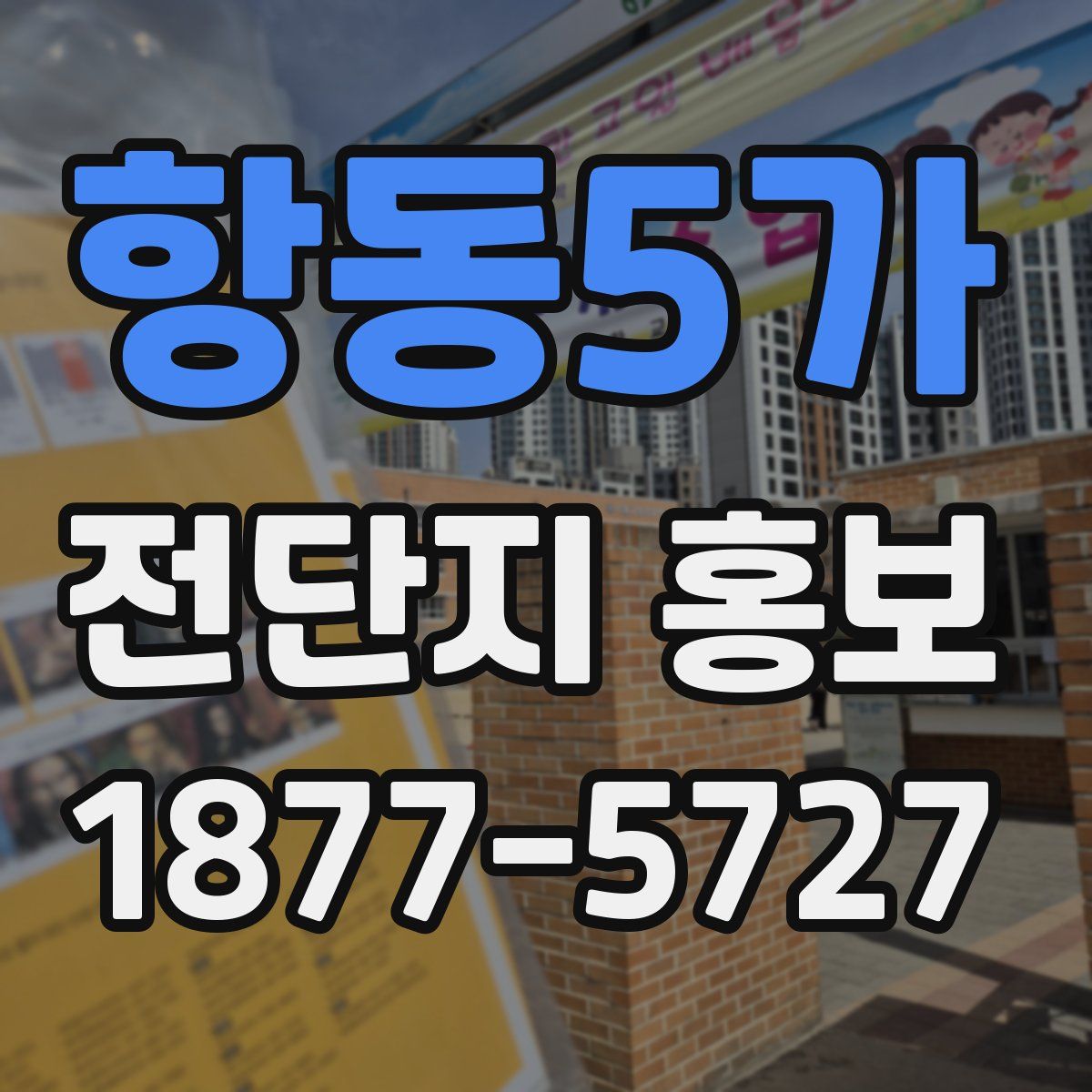 항동5가 전단지 홍보