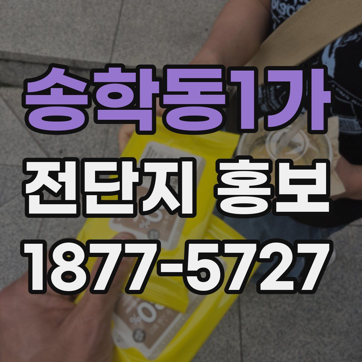 송학동1가 전단지 홍보