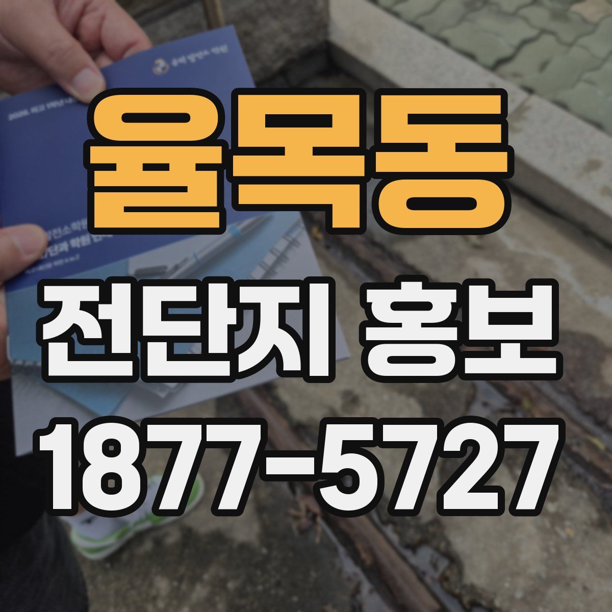 율목동 전단지 홍보