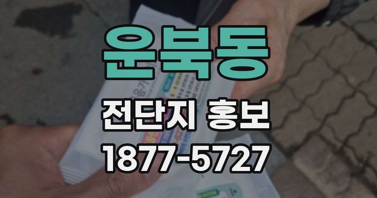 운북동 전단지 홍보