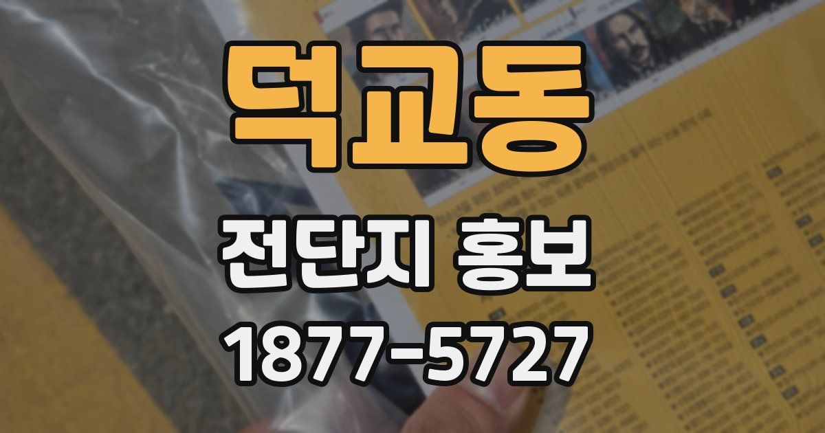 덕교동 전단지 홍보