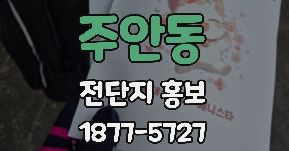 주안동 전단지 홍보