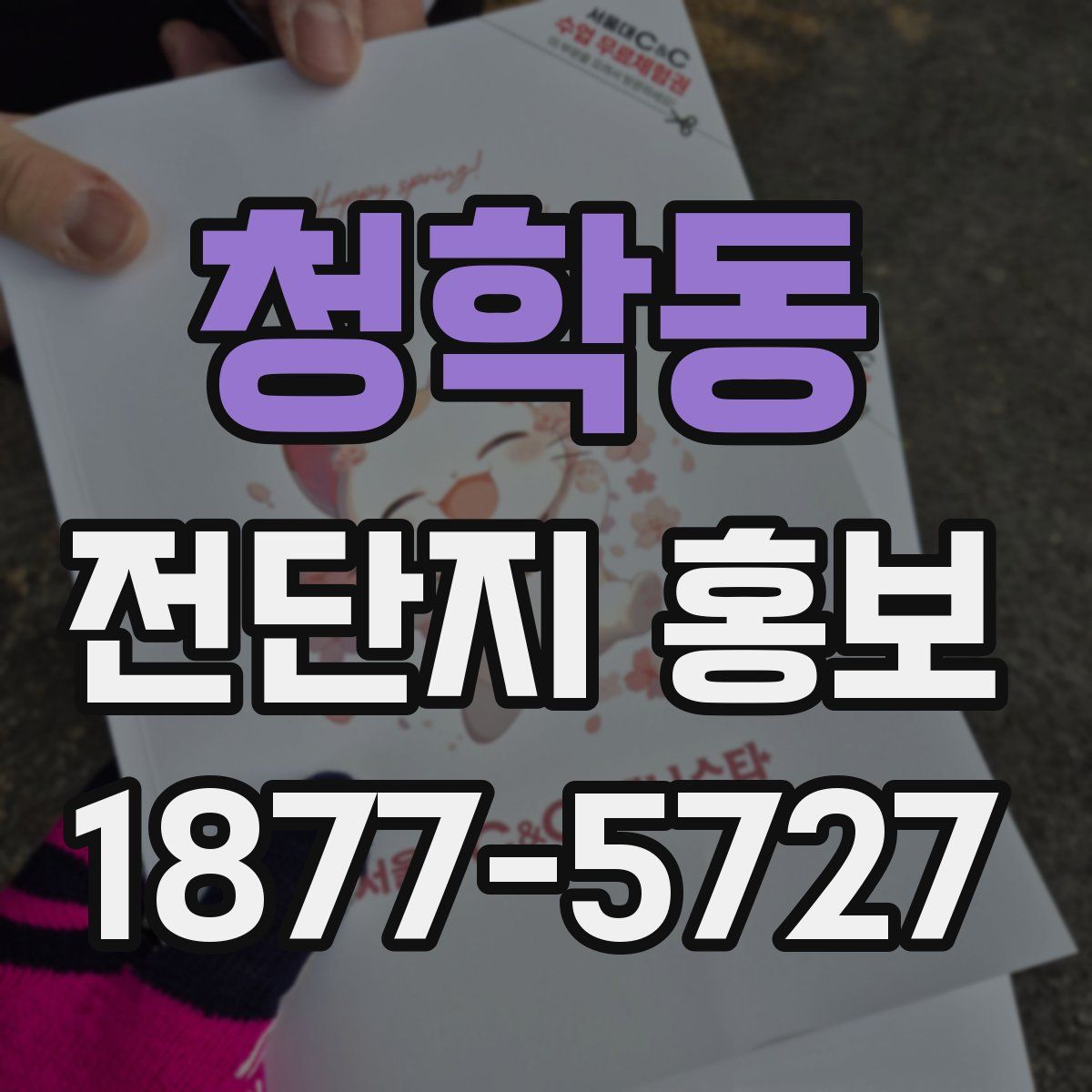 청학동 전단지 홍보