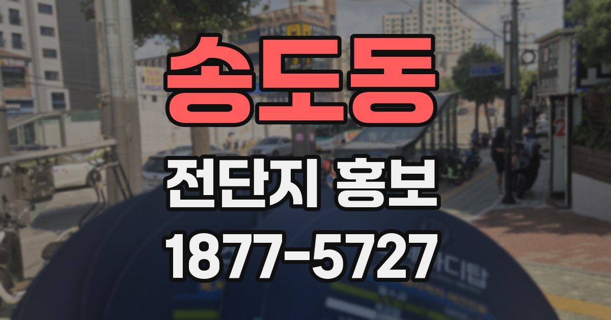 송도동 전단지 홍보