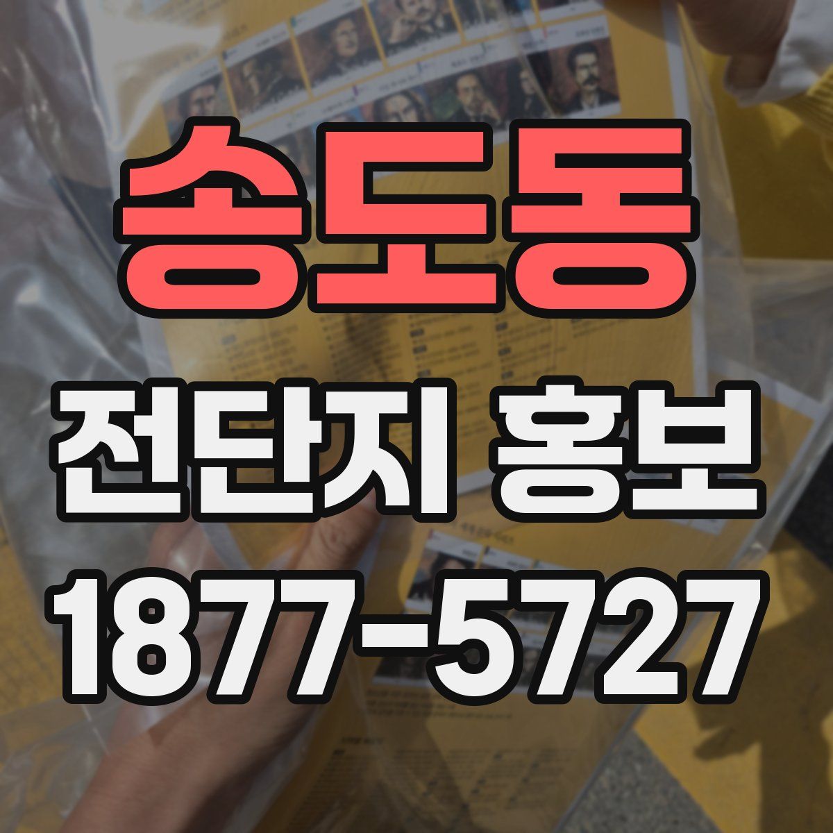 송도동 전단지 홍보
