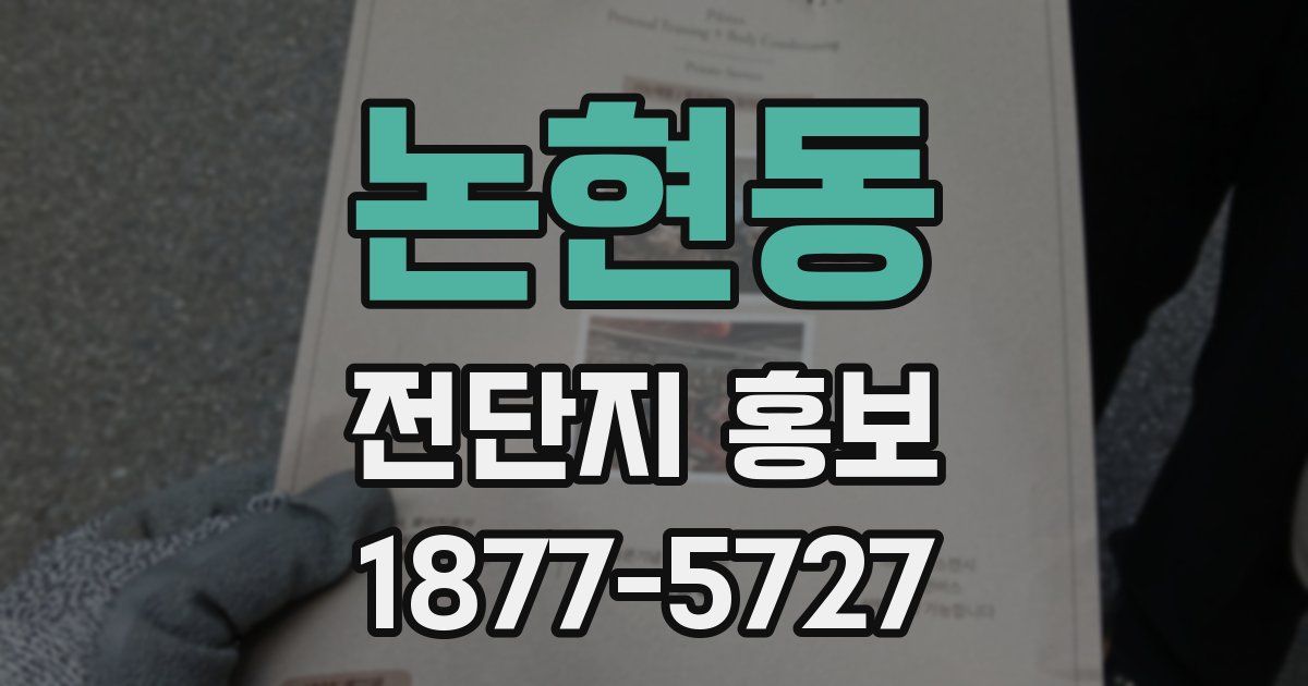 논현동 전단지 홍보