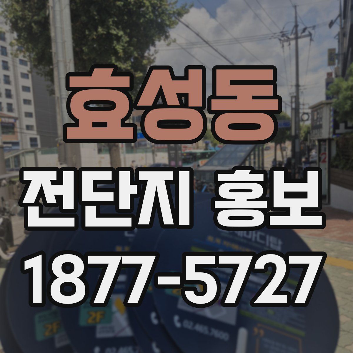 효성동 전단지 홍보