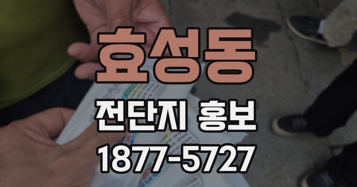 효성동 전단지 홍보