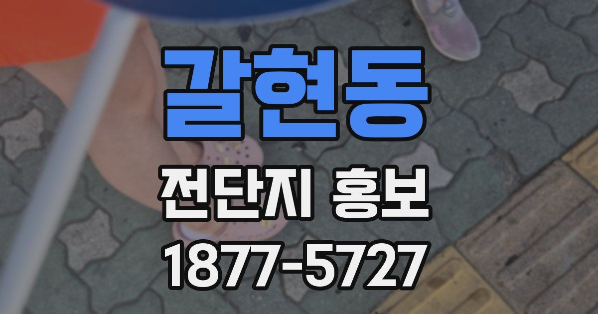 갈현동 전단지 홍보