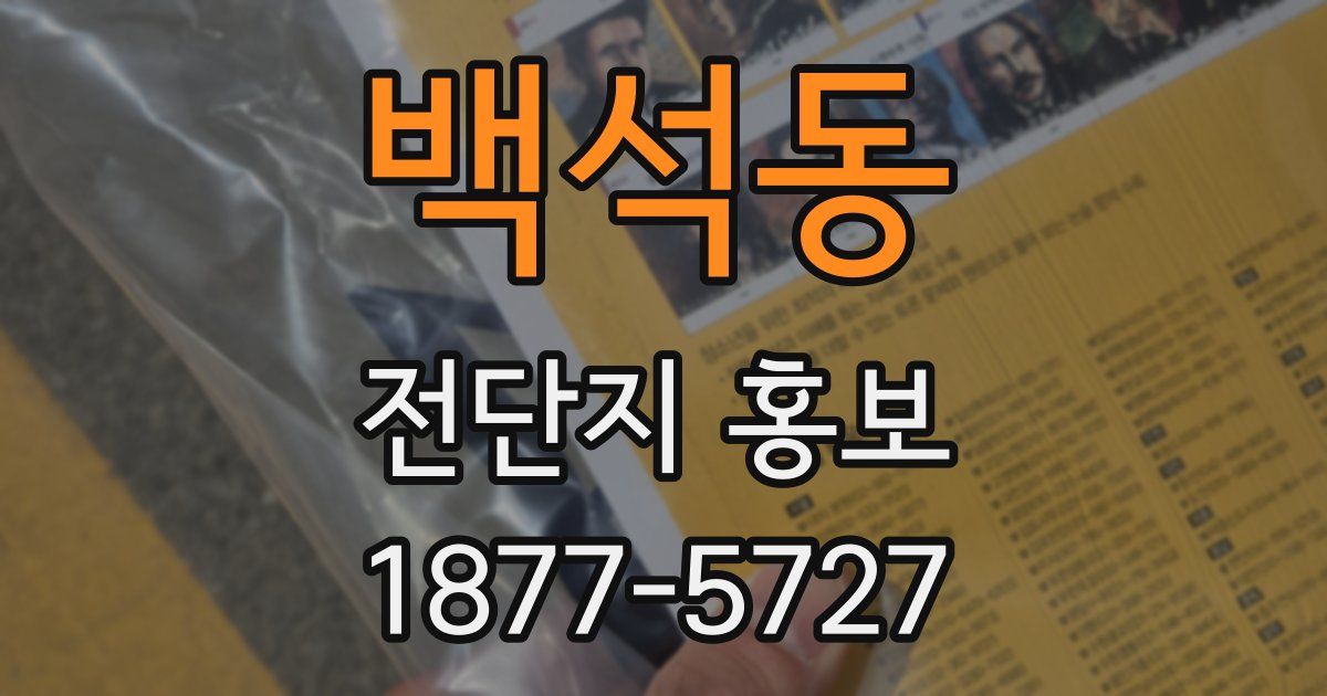 백석동 전단지 홍보