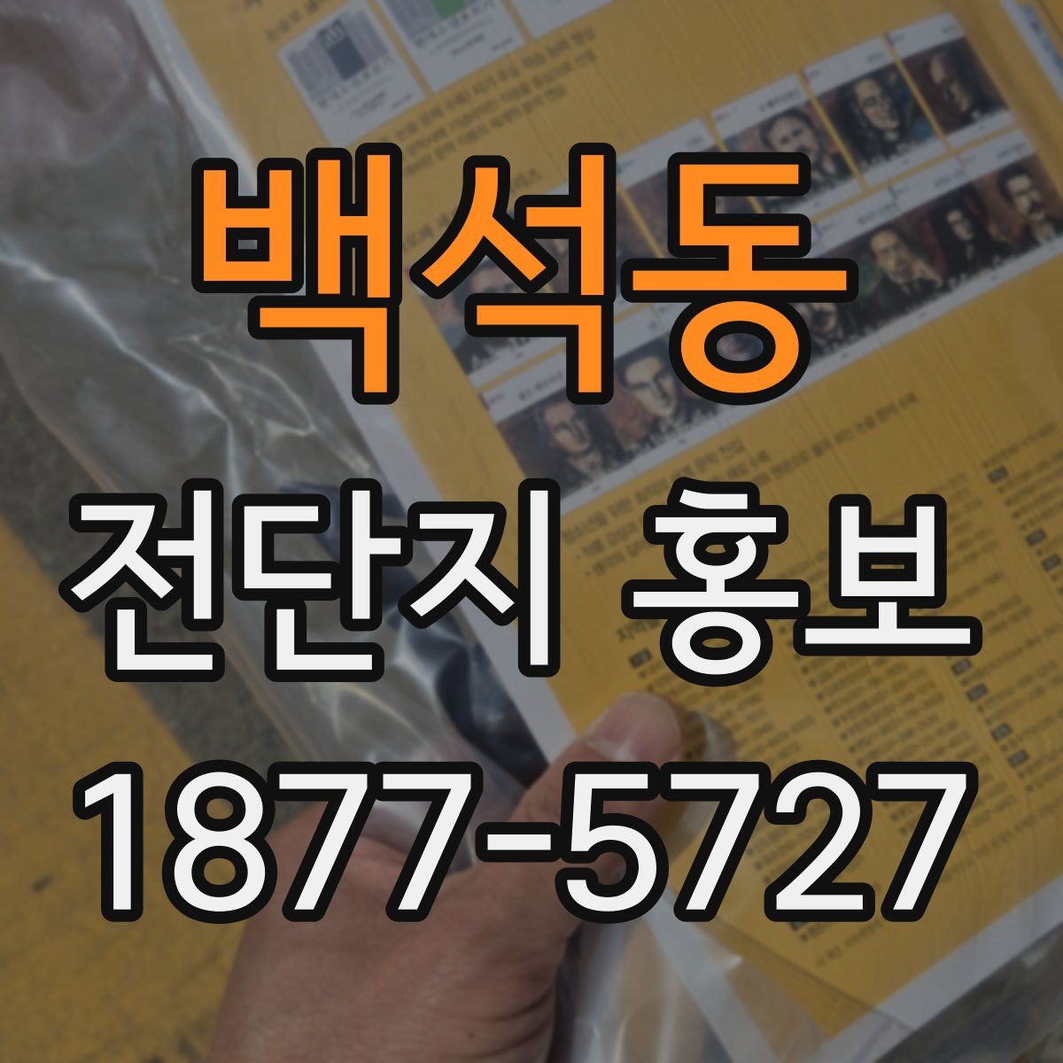백석동 전단지 홍보