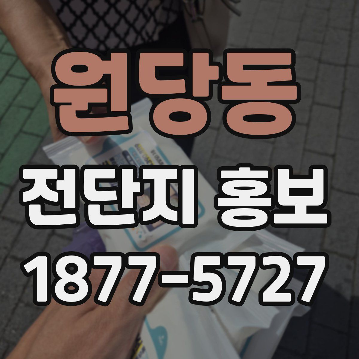 원당동 전단지 홍보