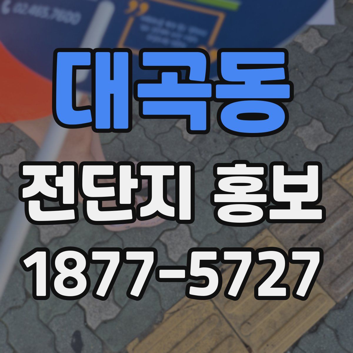 대곡동 전단지 홍보