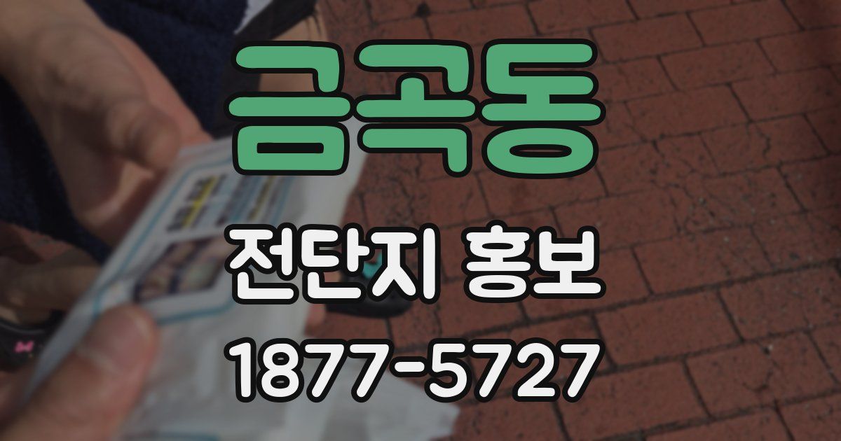 금곡동 전단지 홍보