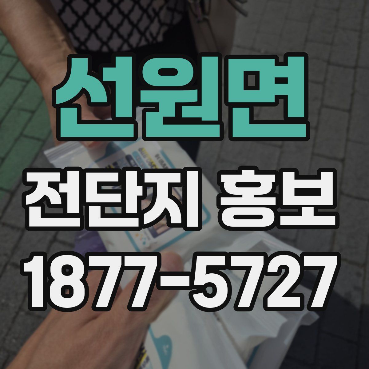 선원면 전단지 홍보