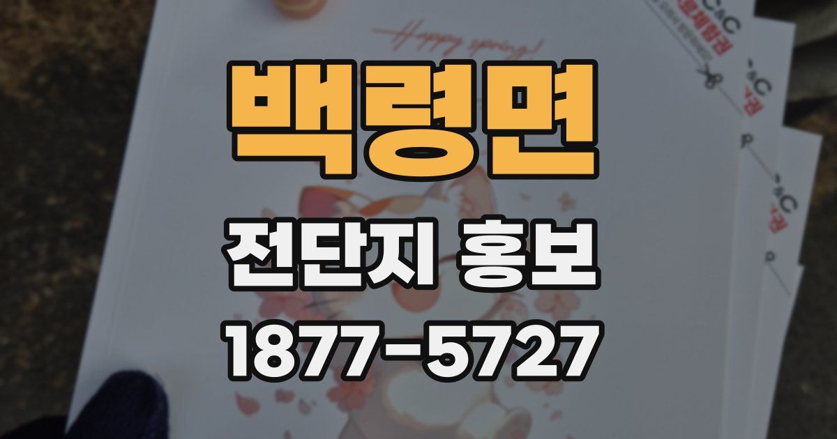 백령면 전단지 홍보