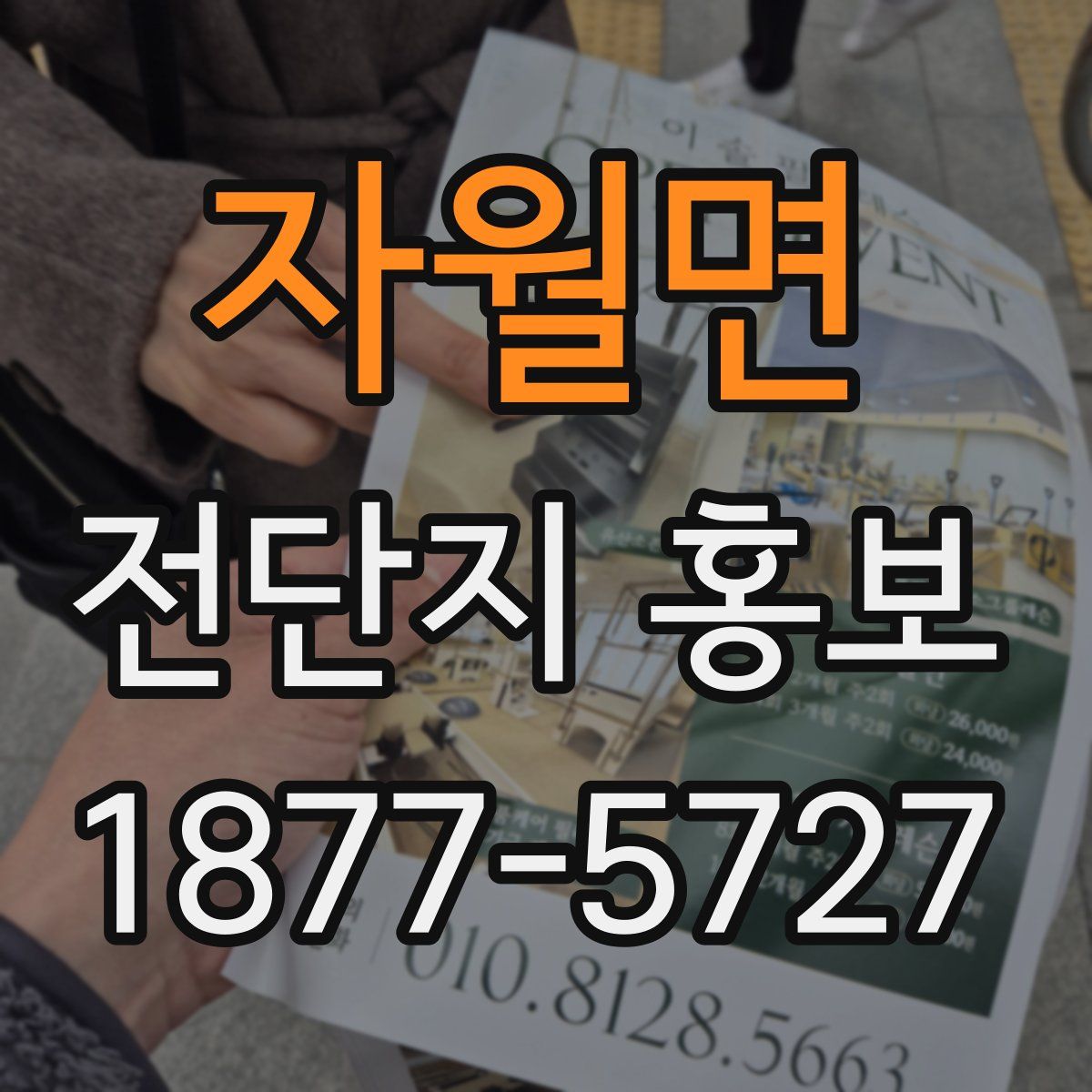 자월면 전단지 홍보