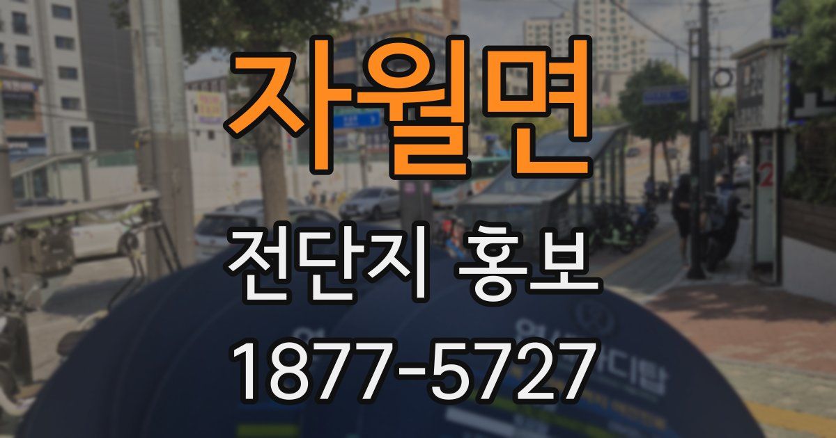 자월면 전단지 홍보