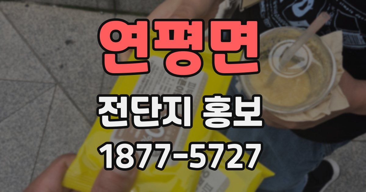 연평면 전단지 홍보