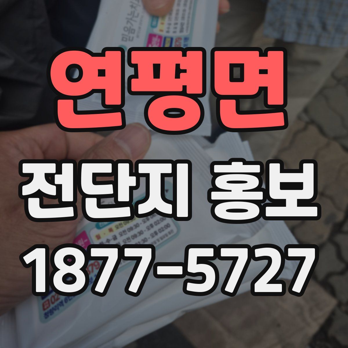 연평면 전단지 홍보