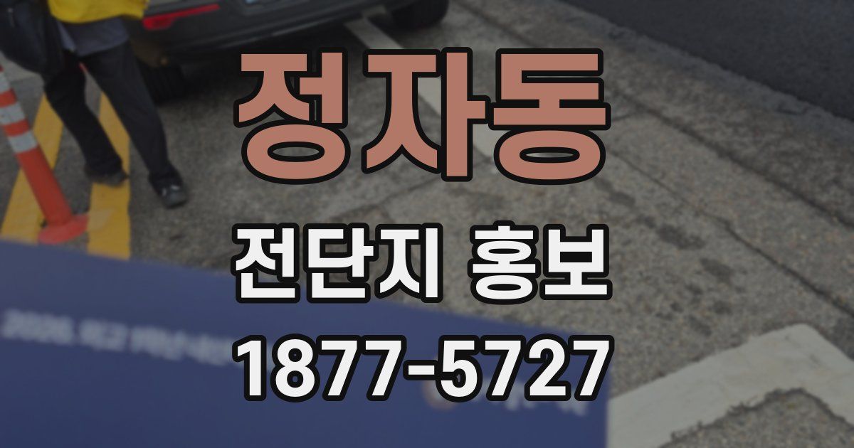 정자동 전단지 홍보