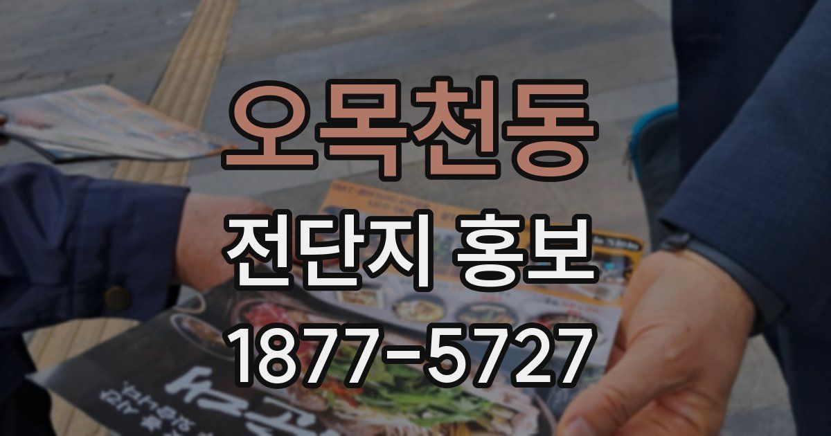 오목천동 전단지 홍보