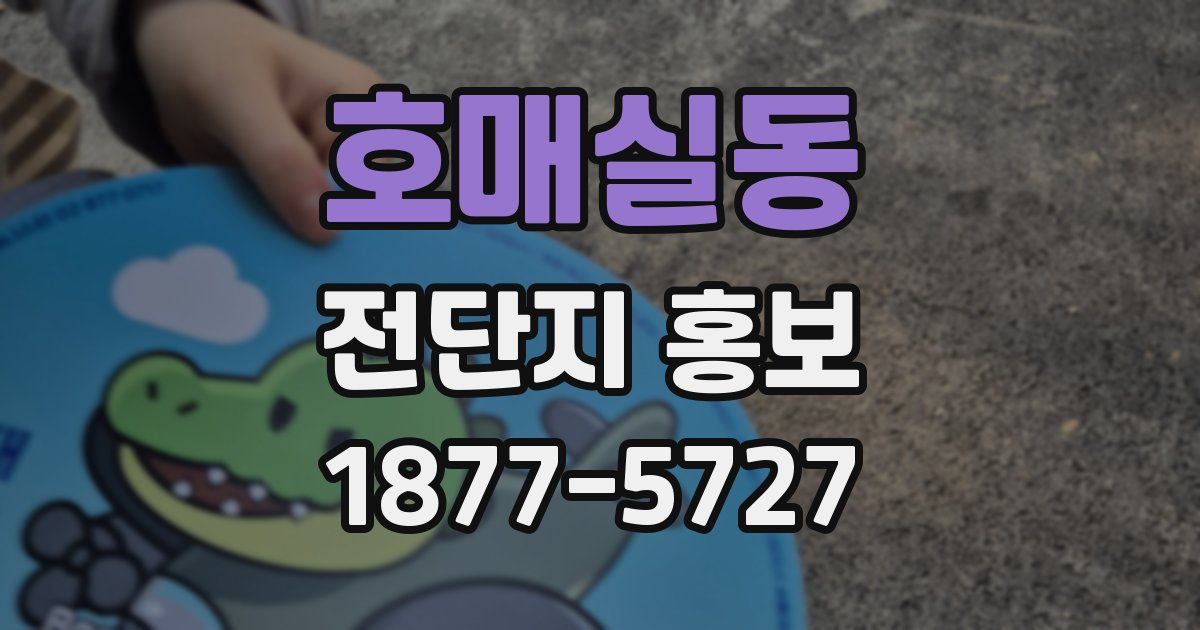 호매실동 전단지 홍보