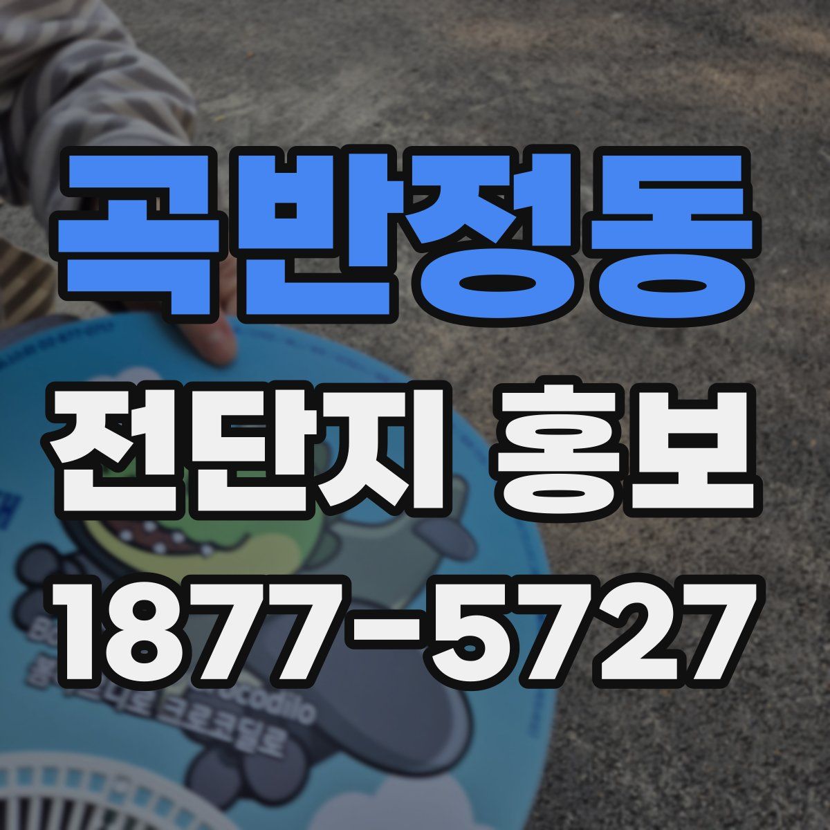 곡반정동 전단지 홍보