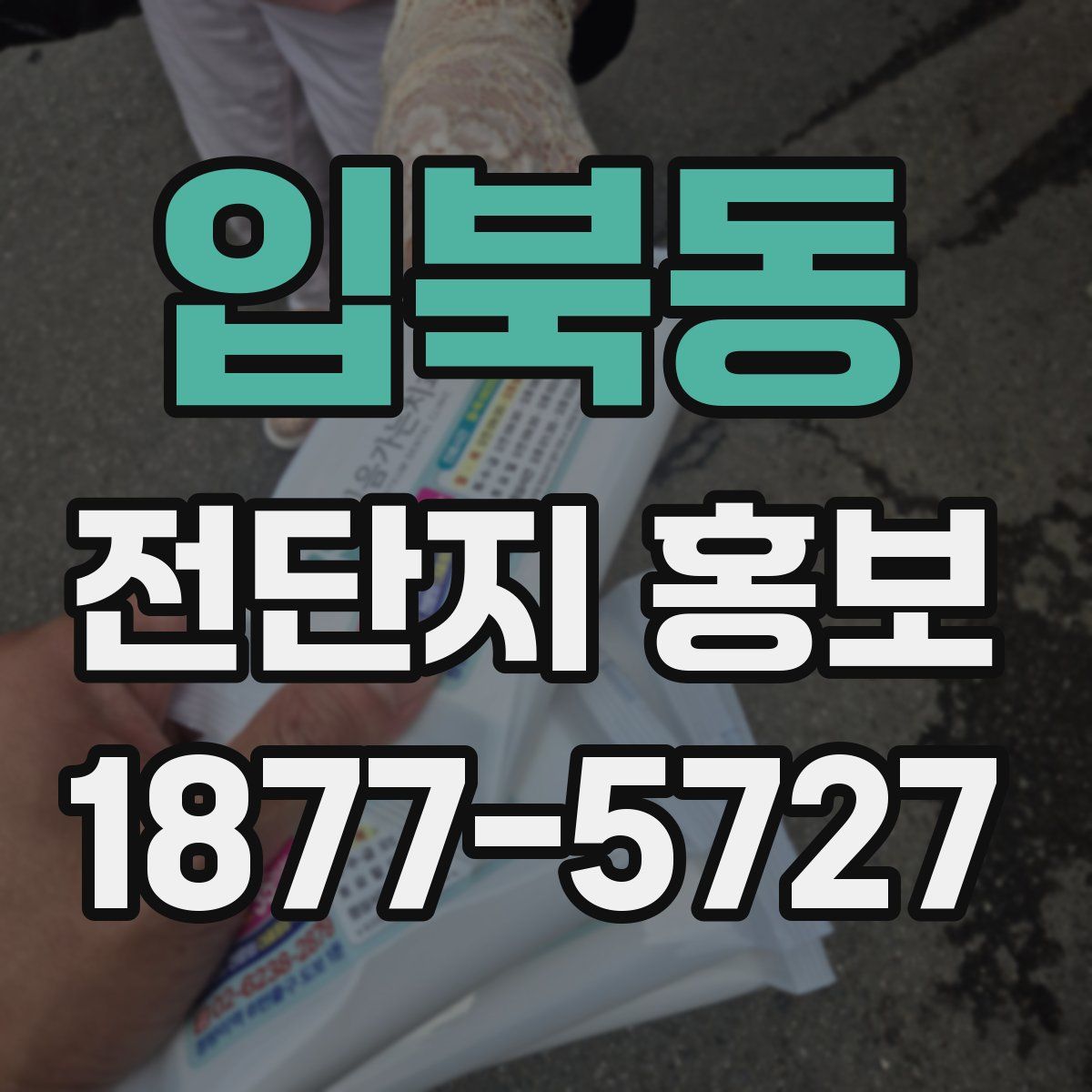 입북동 전단지 홍보