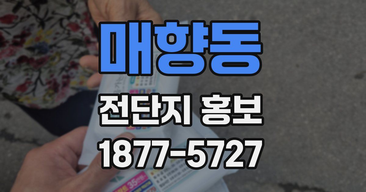 매향동 전단지 홍보