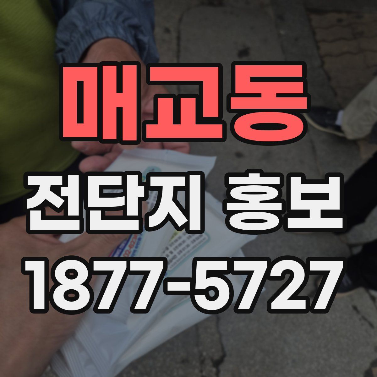 매교동 전단지 홍보