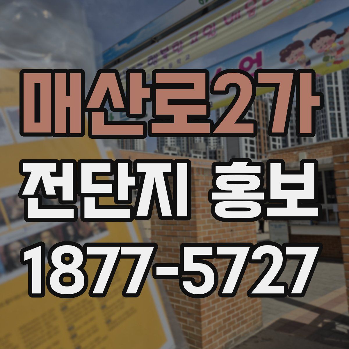 매산로2가 전단지 홍보