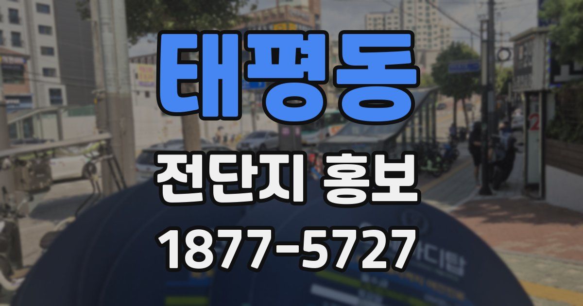 태평동 전단지 홍보