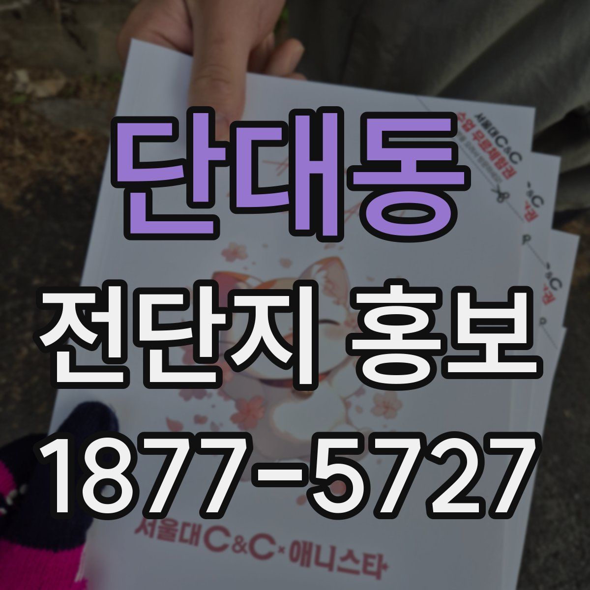단대동 전단지 홍보