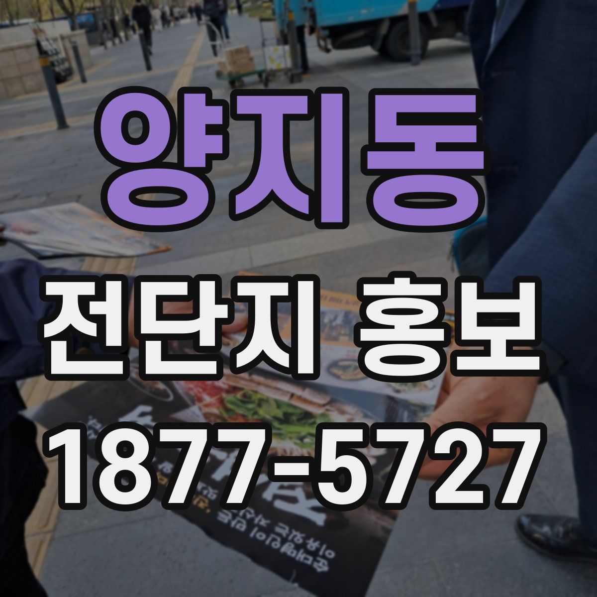 양지동 전단지 홍보