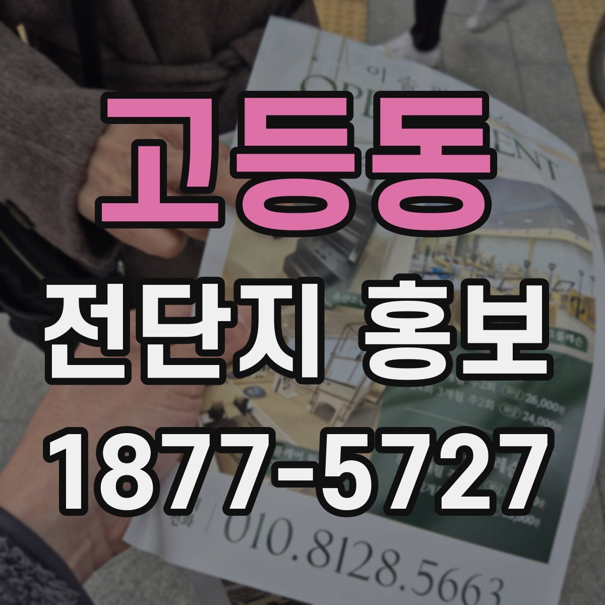 고등동 전단지 홍보