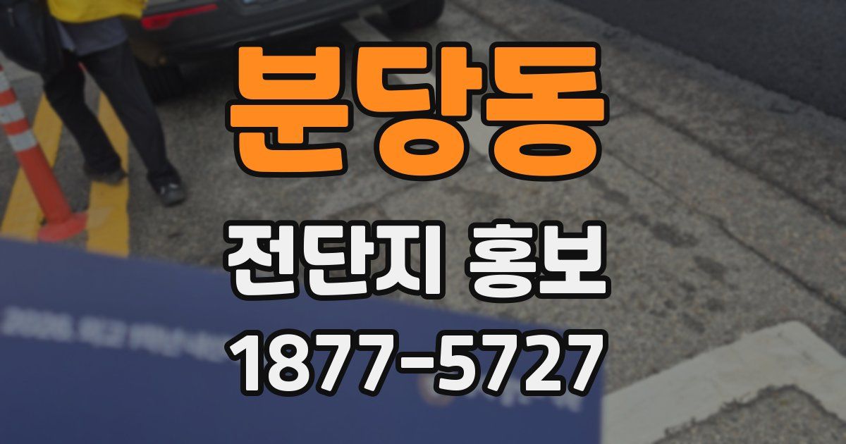 분당동 전단지 홍보