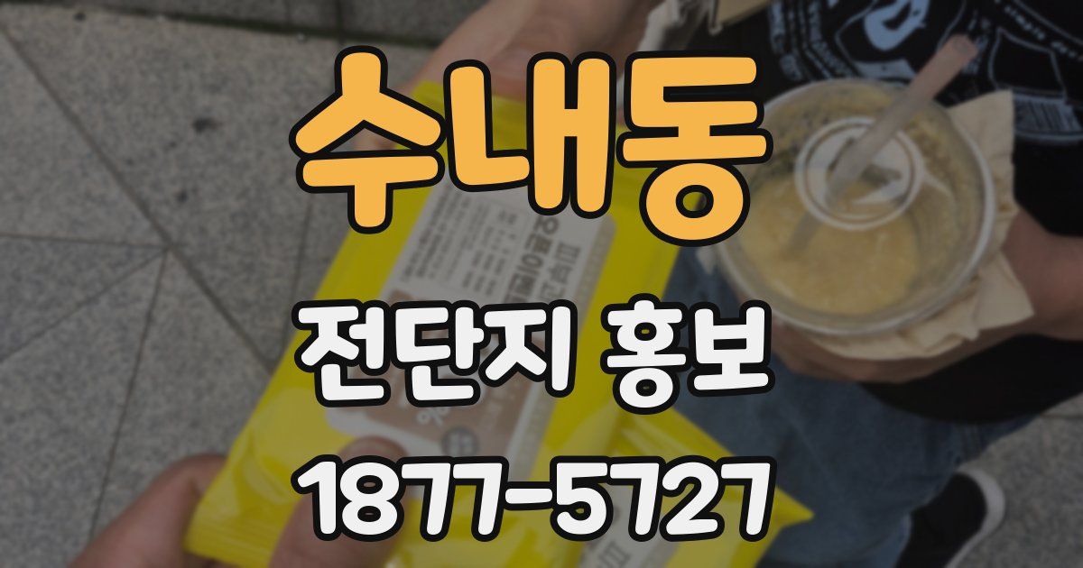 수내동 전단지 홍보